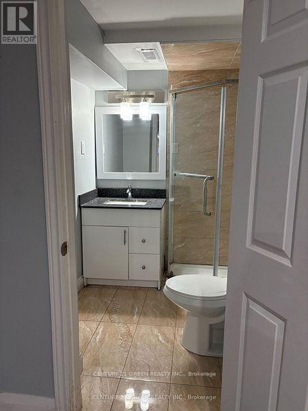 Basement - 52 Moffatt Avenue, Brampton, ON - Indoor Photo Showing Bathroom