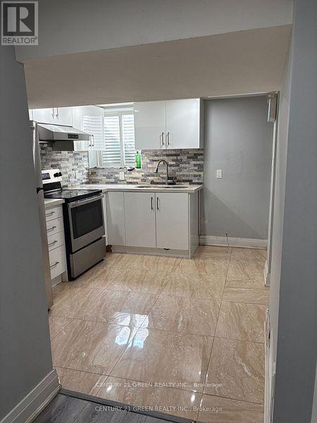 Basement - 52 Moffatt Avenue, Brampton, ON - Indoor Photo Showing Kitchen With Double Sink
