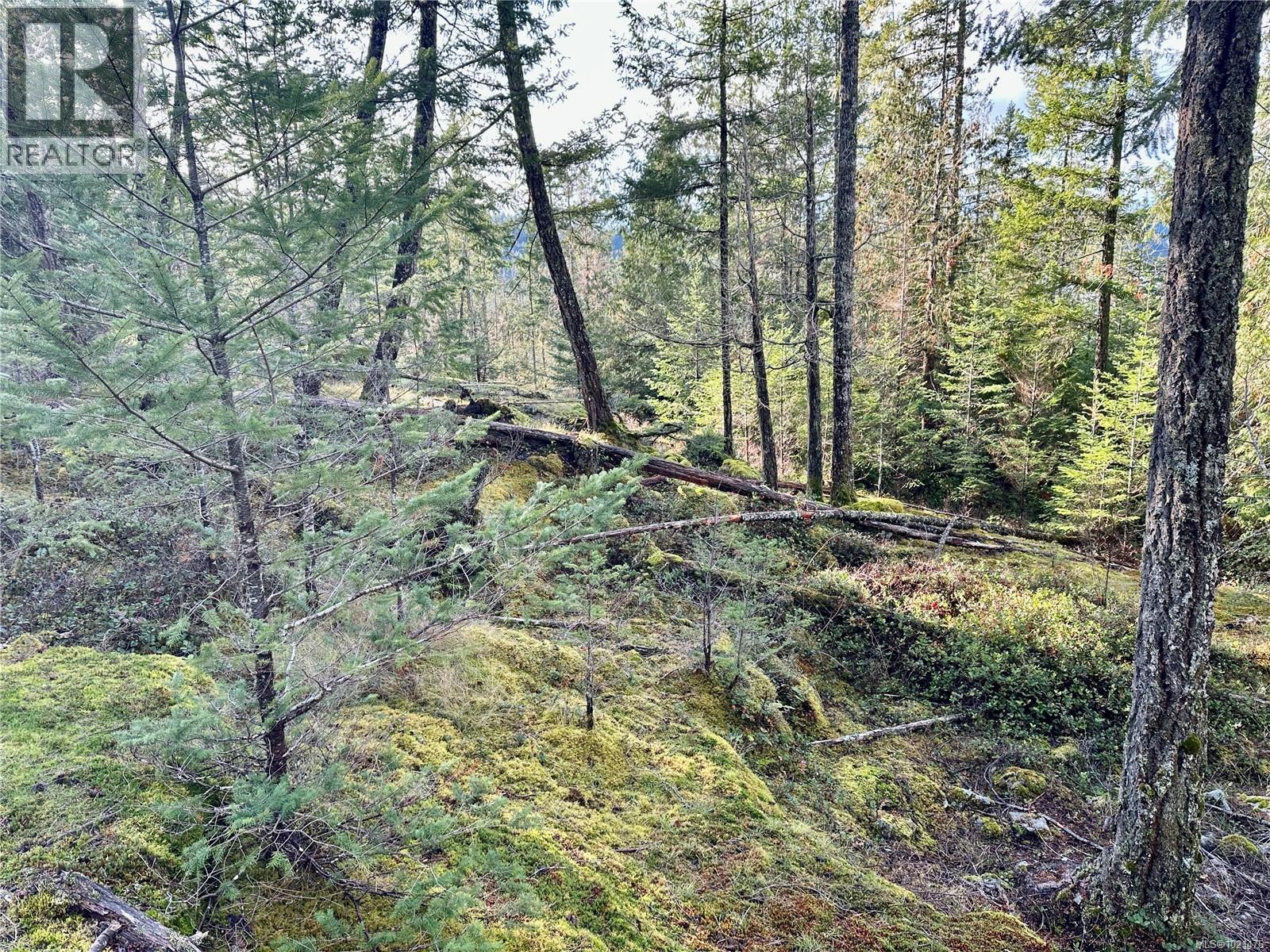 Possible House Site - 1309 Gorge Harbour Rd, Cortes Island, BC