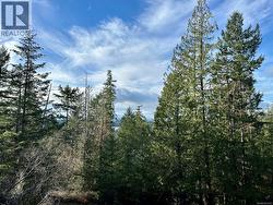 Remove a few trees and there is an amazing view. -