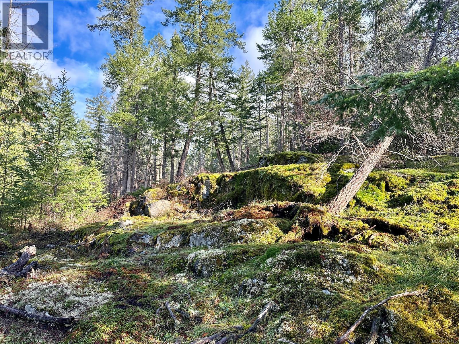 Upper area of the property - 1309 Gorge Harbour Rd, Cortes Island, BC