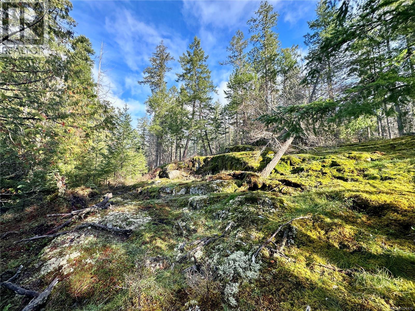 Upper area of the property - 1309 Gorge Harbour Rd, Cortes Island, BC
