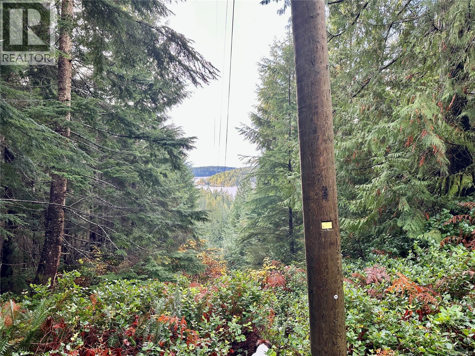 Power lines cross the property - 1309 Gorge Harbour Rd, Cortes Island, BC