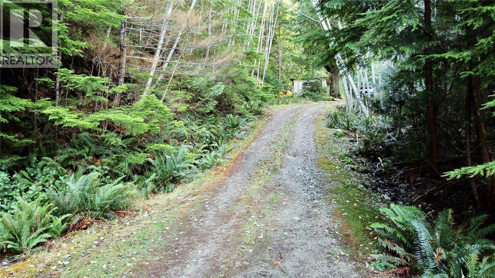 Road down to the boat launch - 1309 Gorge Harbour Rd, Cortes Island, BC
