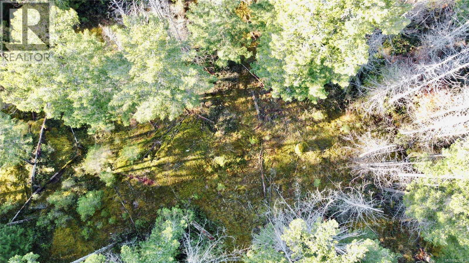 Aerial of the possible House site - 1309 Gorge Harbour Rd, Cortes Island, BC