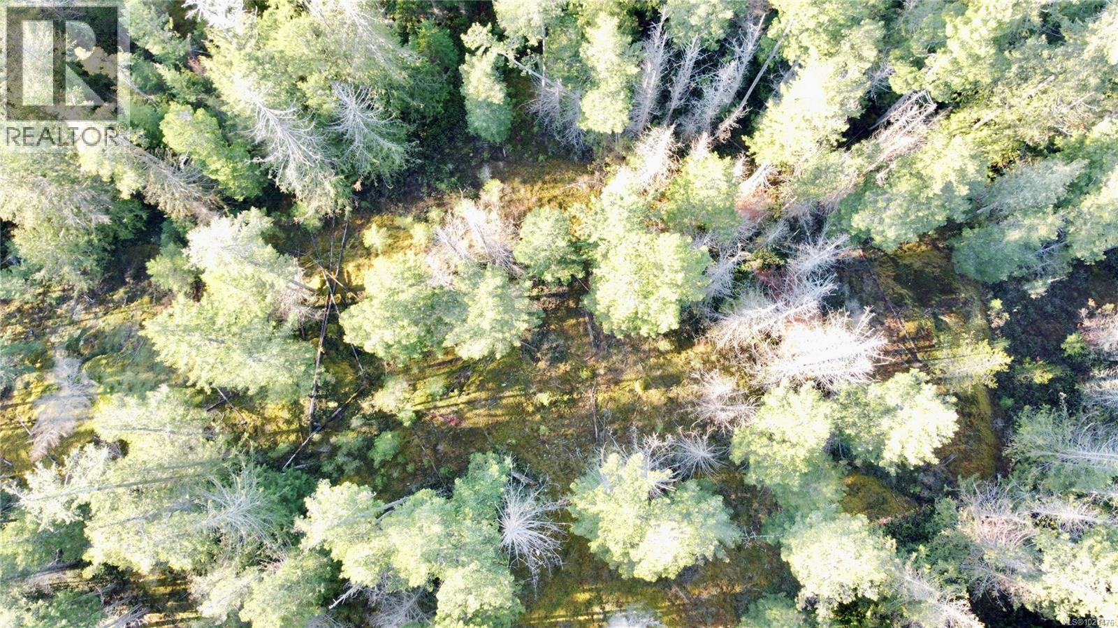 Aerial of the possible House site - 1309 Gorge Harbour Rd, Cortes Island, BC