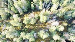 Aerial of the possible House site -