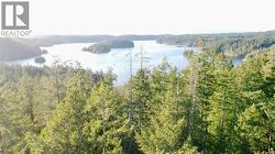 Aerial from the possible House site -