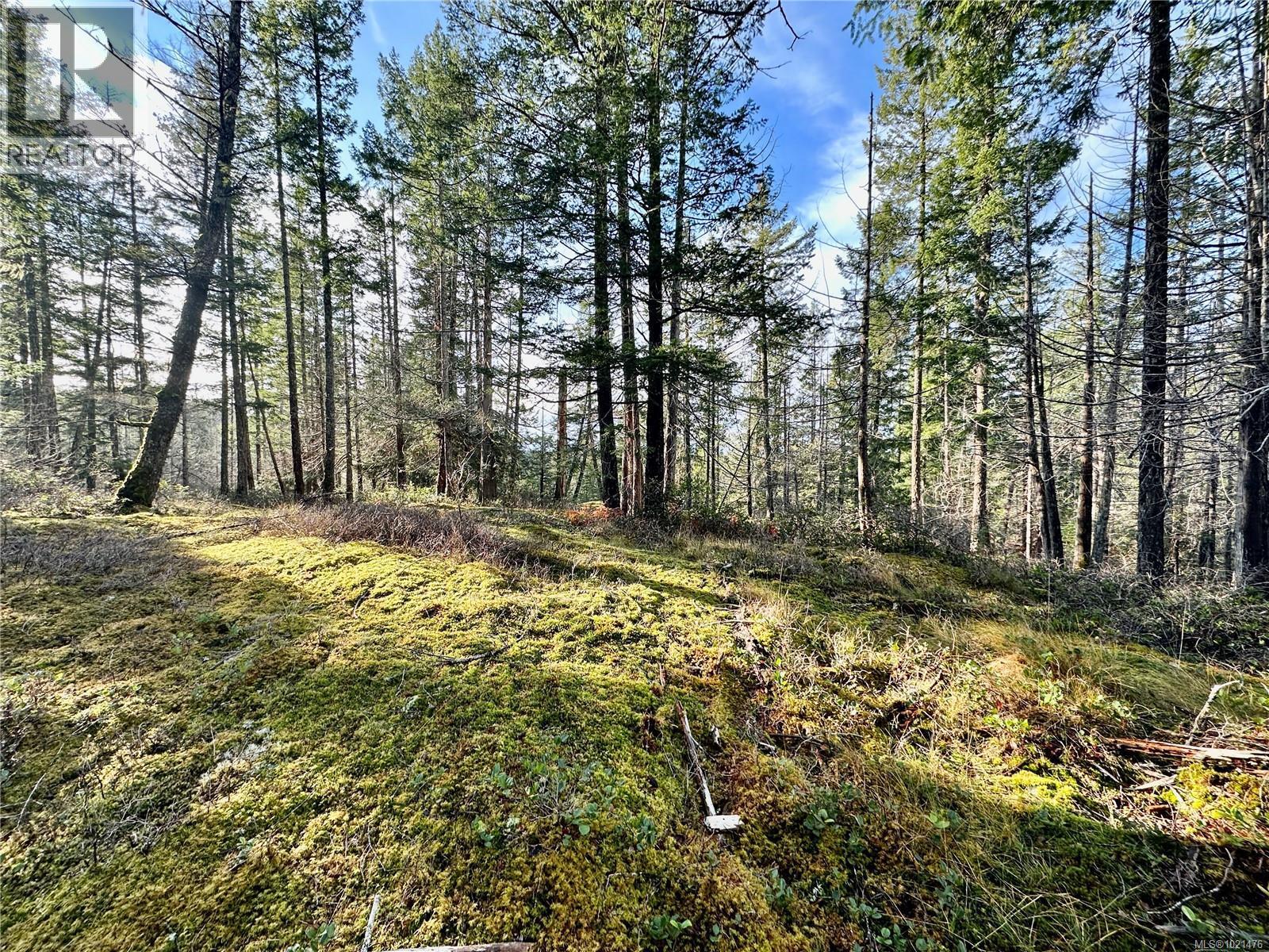 Possible House Site - 1309 Gorge Harbour Rd, Cortes Island, BC