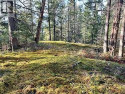 Possible House Site -