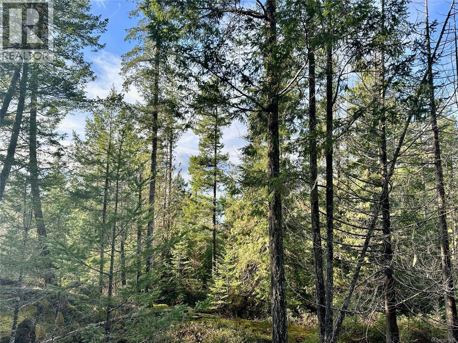 Possible House Site - 1309 Gorge Harbour Rd, Cortes Island, BC