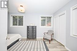 2nd Bedroom with windows and large closet -