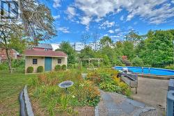 View of the shed, pool, and garden from the house -