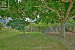 Side lot in front of the property -