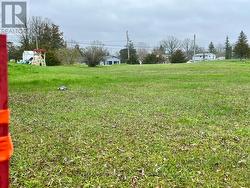 View from the back -