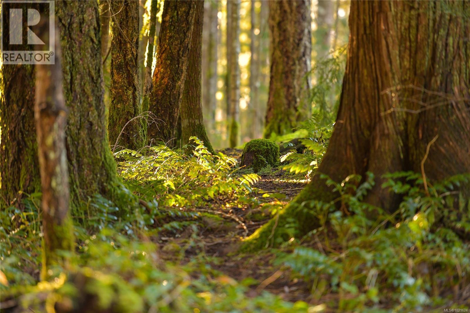 3795 Glenora Rd, Duncan, BC - With View