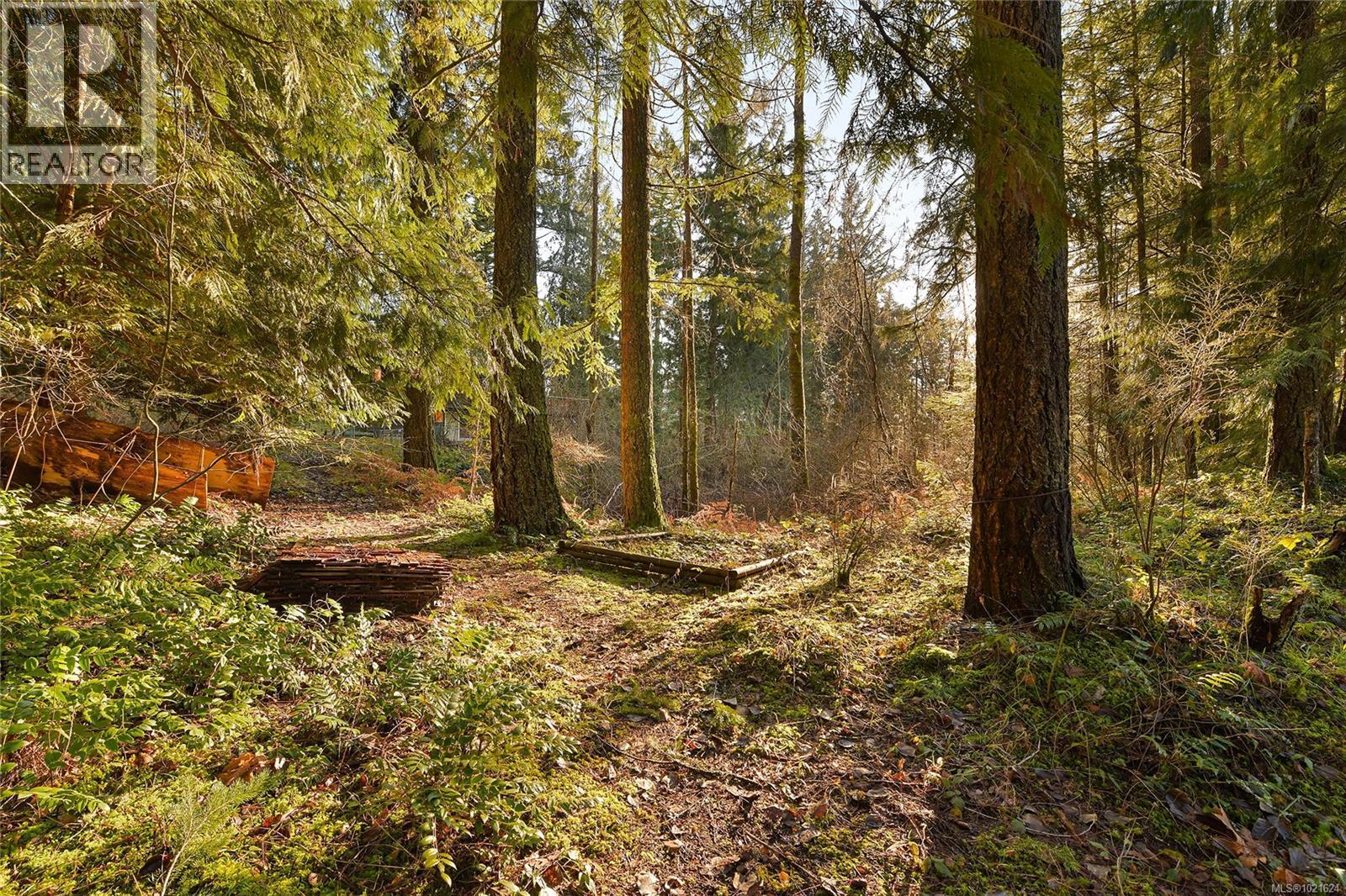 3795 Glenora Rd, Duncan, BC - Outdoor With View