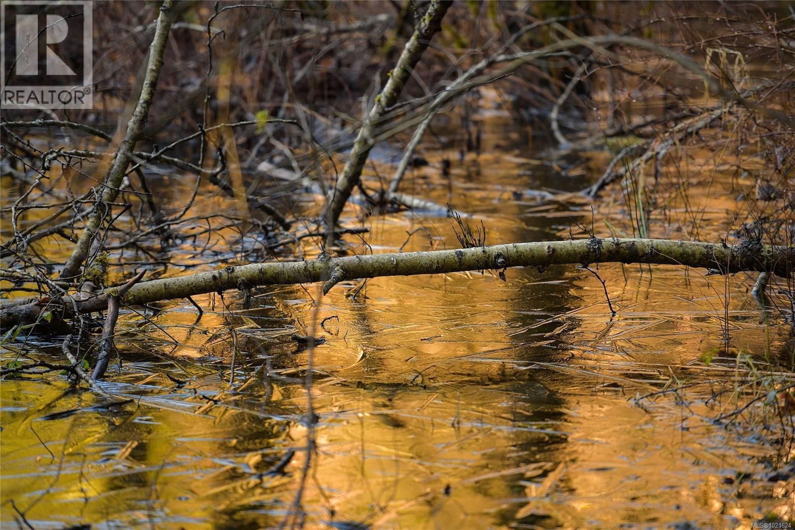 3795 Glenora Rd, Duncan, BC - Outdoor With View