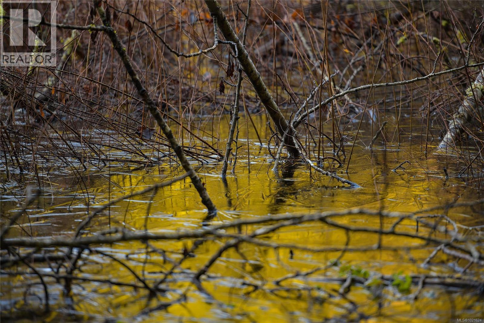 3795 Glenora Rd, Duncan, BC - With View