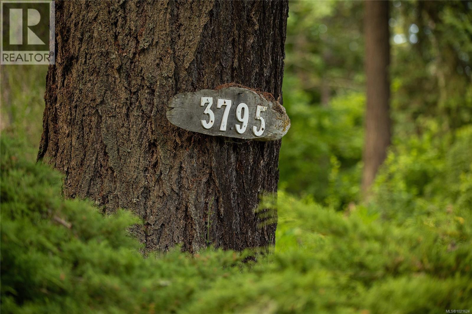 3795 Glenora Rd, Duncan, BC - Outdoor With View