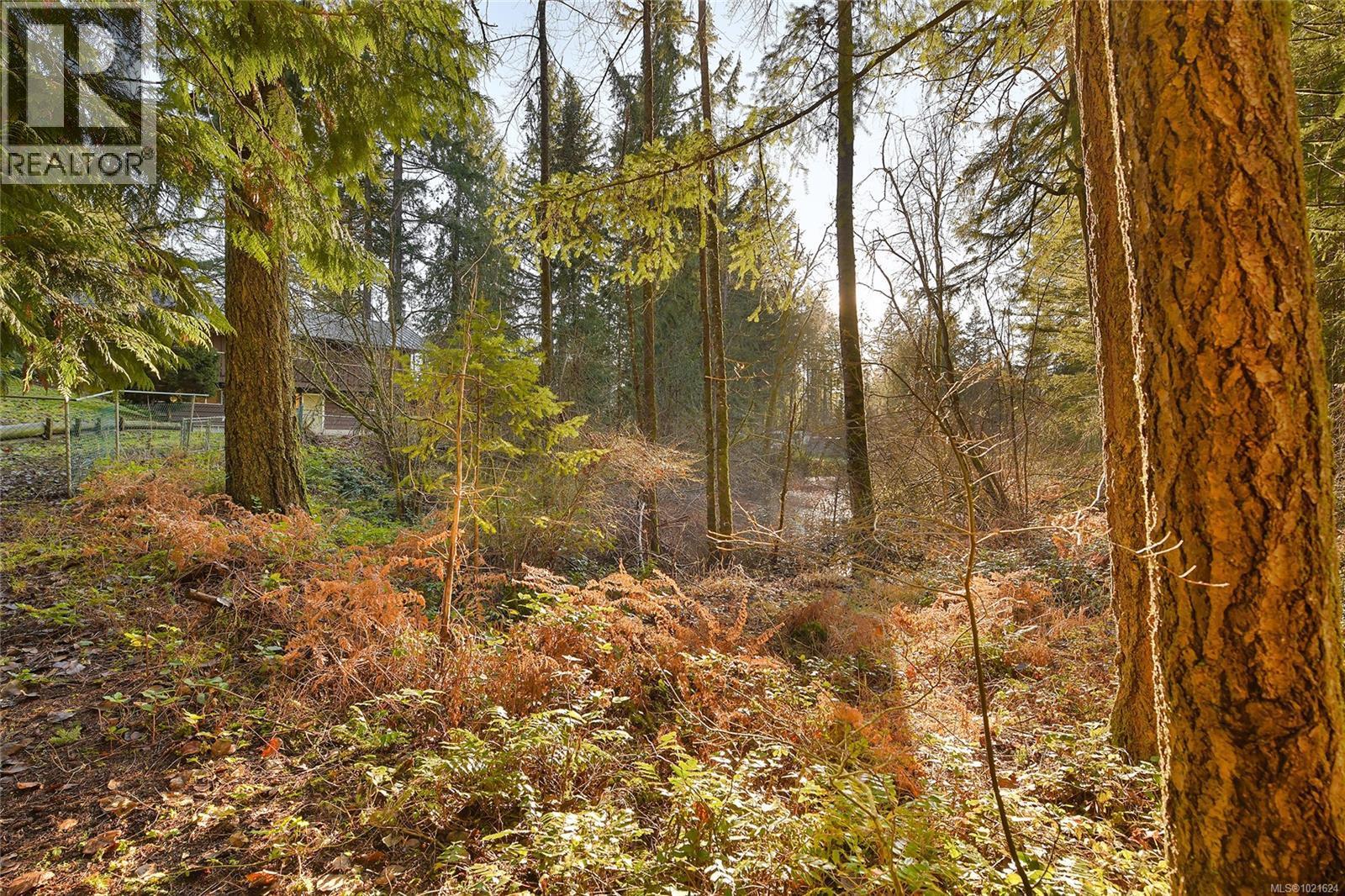 3795 Glenora Rd, Duncan, BC - Outdoor With View