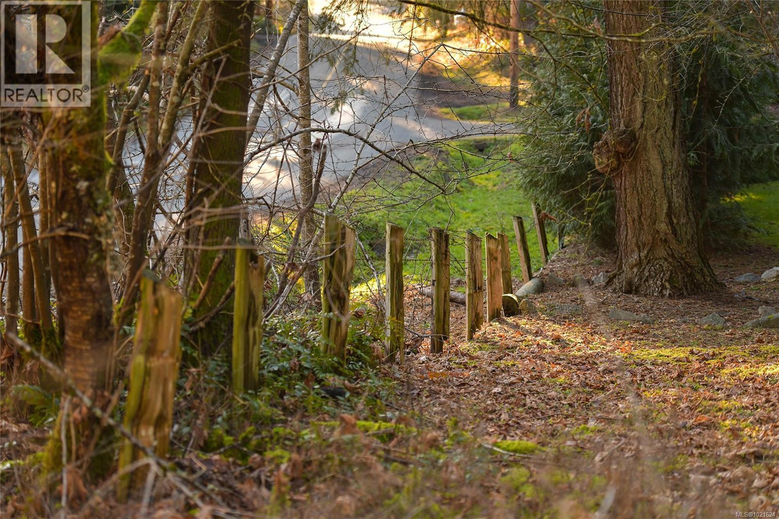 3795 Glenora Rd, Duncan, BC - Outdoor With View