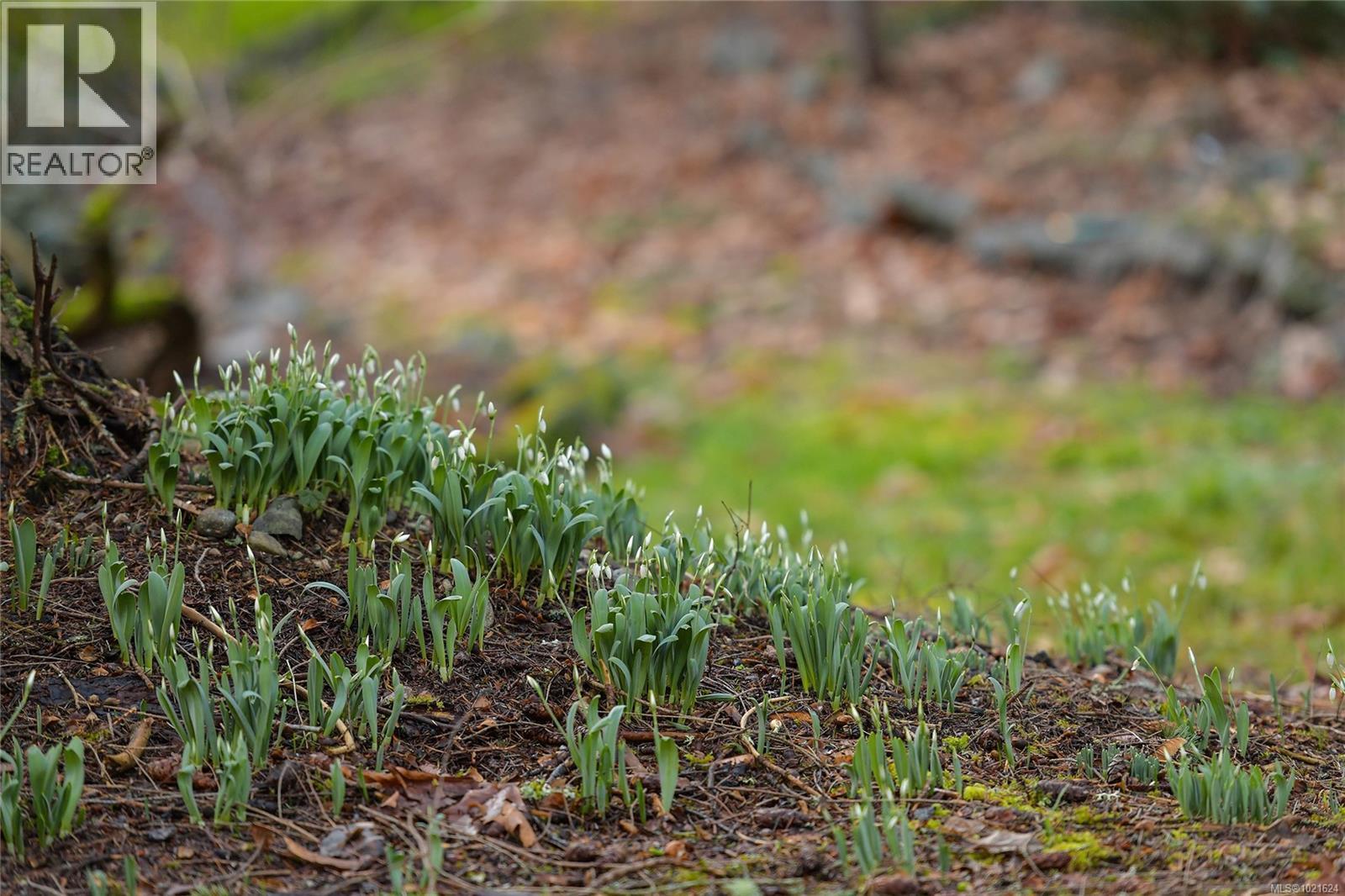 3795 Glenora Rd, Duncan, BC - Outdoor With View