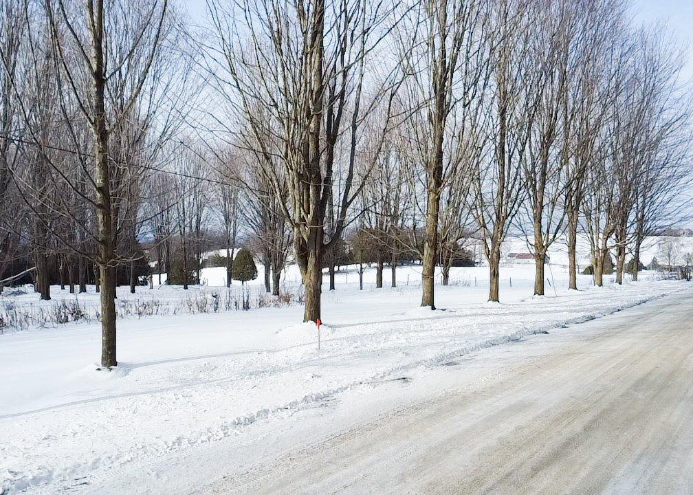 Terre/Terrain - Ch. De Kingscroft, Barnston-Ouest, QC