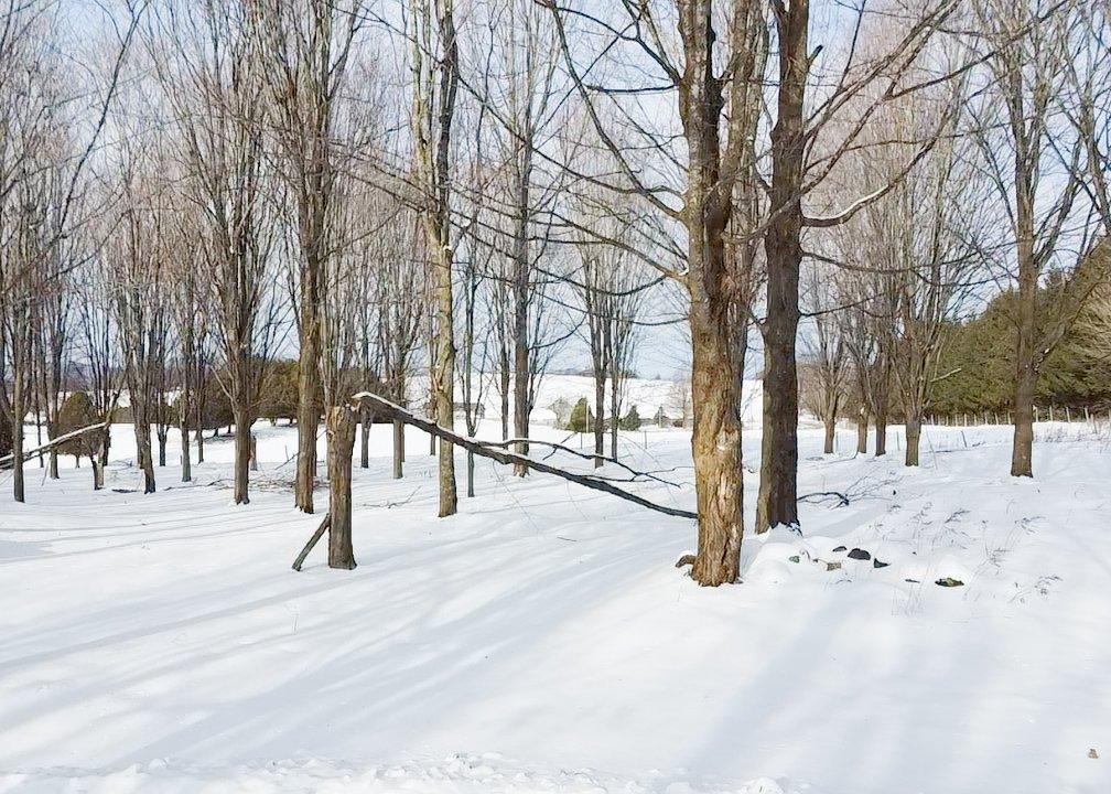 Terre/Terrain - Ch. De Kingscroft, Barnston-Ouest, QC