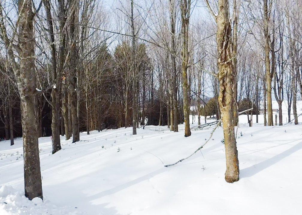 Terre/Terrain - Ch. De Kingscroft, Barnston-Ouest, QC