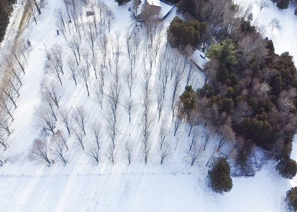 Photo aérienne - Ch. De Kingscroft, Barnston-Ouest, QC