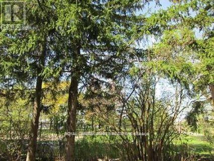 Bsmt - 95 Maria Road, Markham, ON - Outdoor