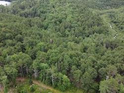 4 LOT Sleepy Hollow Road Martins River, NS B0J 2E0