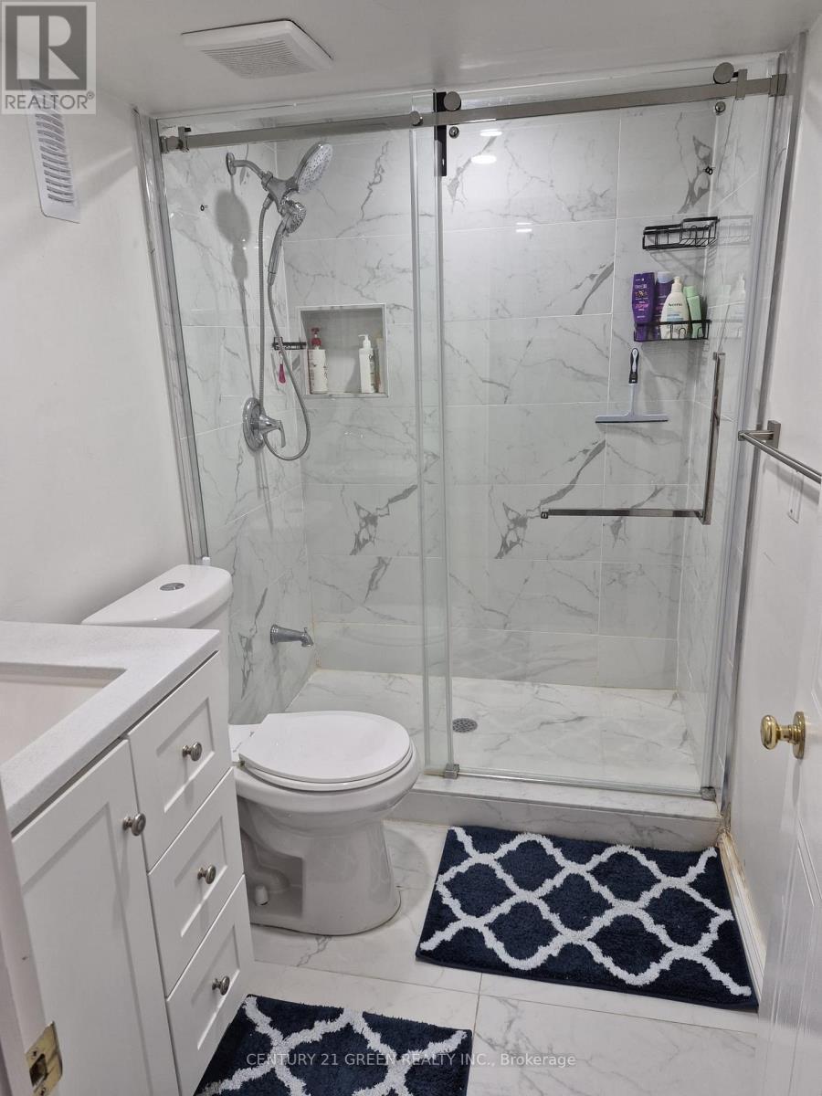 55 Cashel Crescent, Brantford, ON - Indoor Photo Showing Bathroom