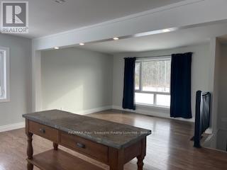 Living room - 587317 9Th Side Road, Blue Mountains, ON - Indoor Photo Showing Other Room