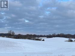 639-641 MT PLEASANT ROAD W Brant (Brantford Twp), ON N0E 1K0