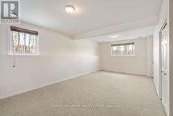 Rec Room in Basement -