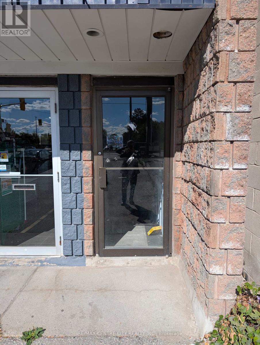 Lower Level - 1544 Dundas Street, London East (East H), ON