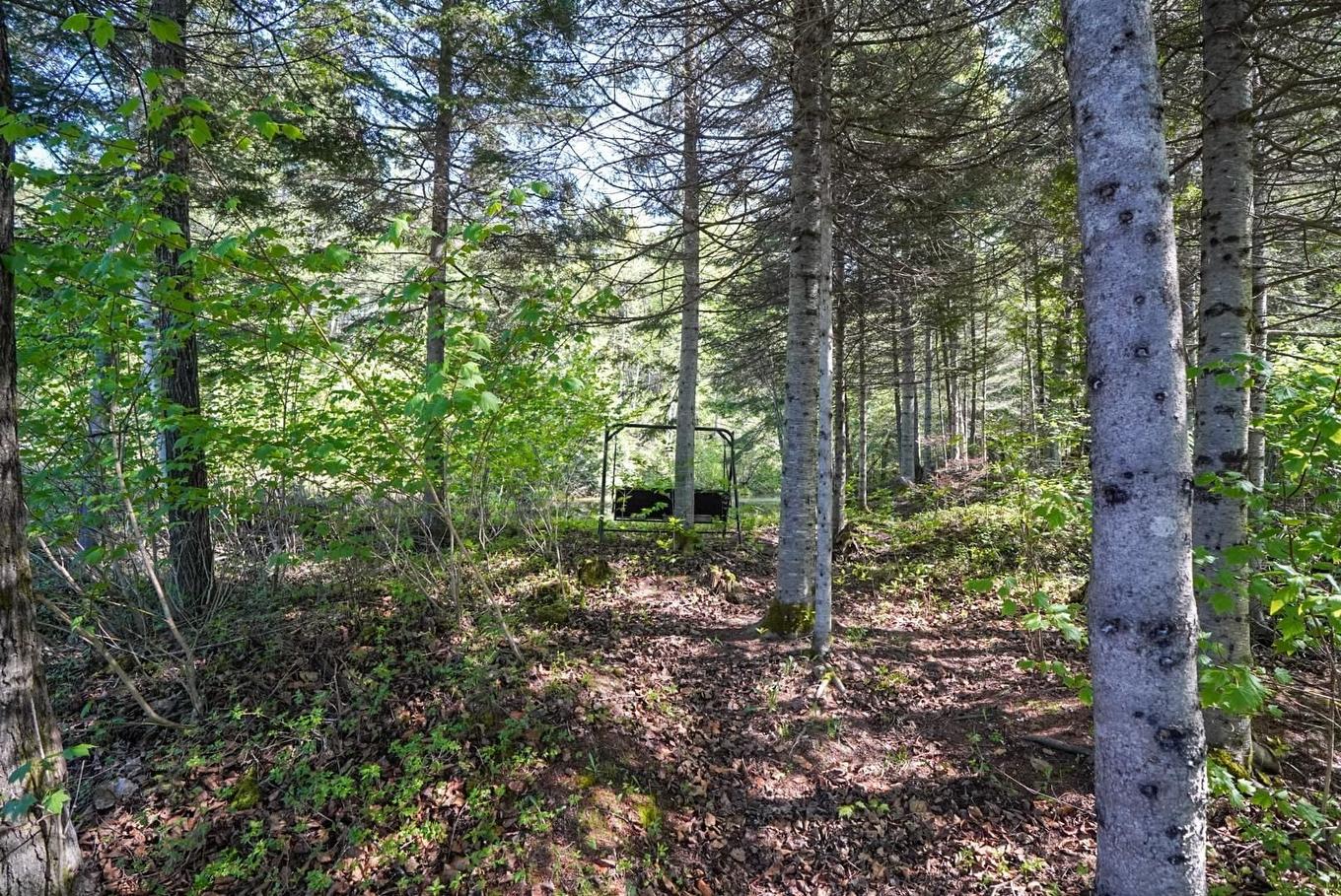 Extérieur - 1 Ch. St-Antoine, New Richmond, QC - Outdoor