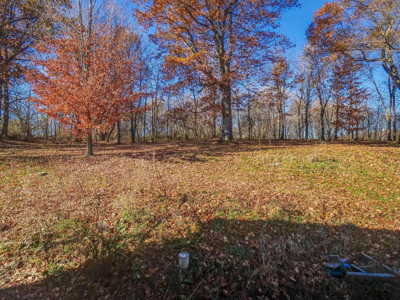 Cour - 128 Route 138A, Godmanchester, QC - Outdoor With View