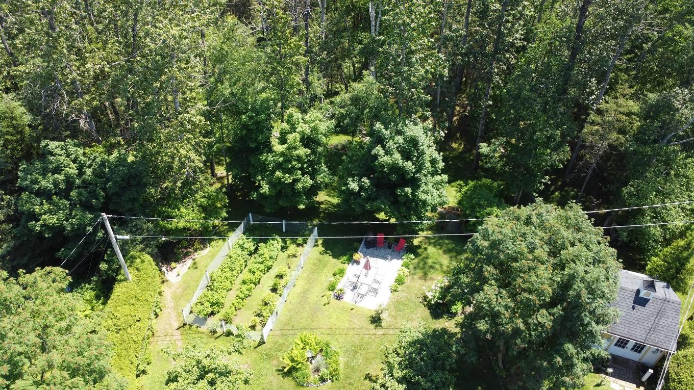 Photo aérienne - 55 Rue Pierre-Bouliane, La Malbaie, QC - Outdoor