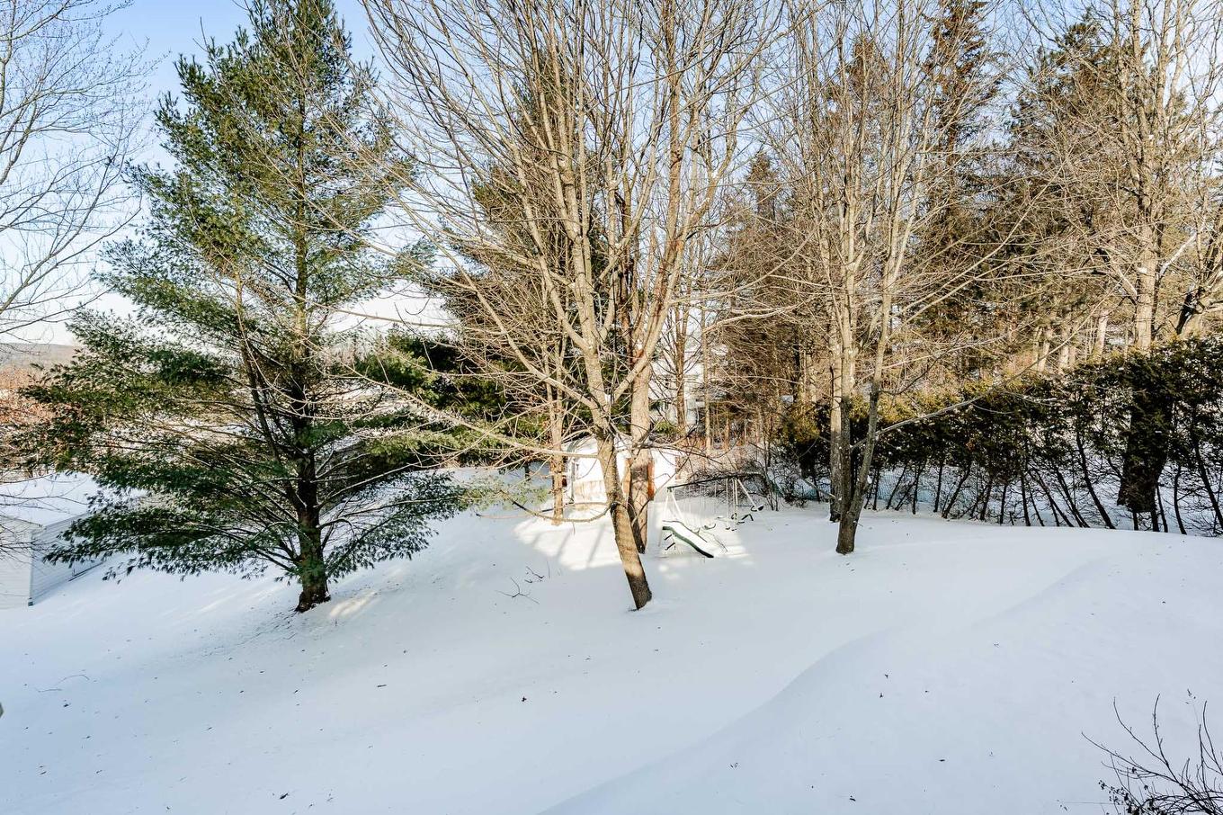 Terre/Terrain - 35 Rue Crabtree, Windsor, QC - Outdoor With View