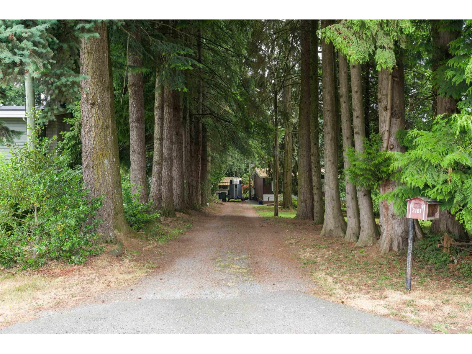 2161 Martens Street, Abbotsford, BC - Outdoor