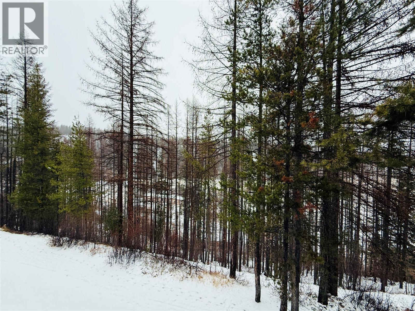 300 Stemwinder Drive Unit# 210, Kimberley, BC - Outdoor With View