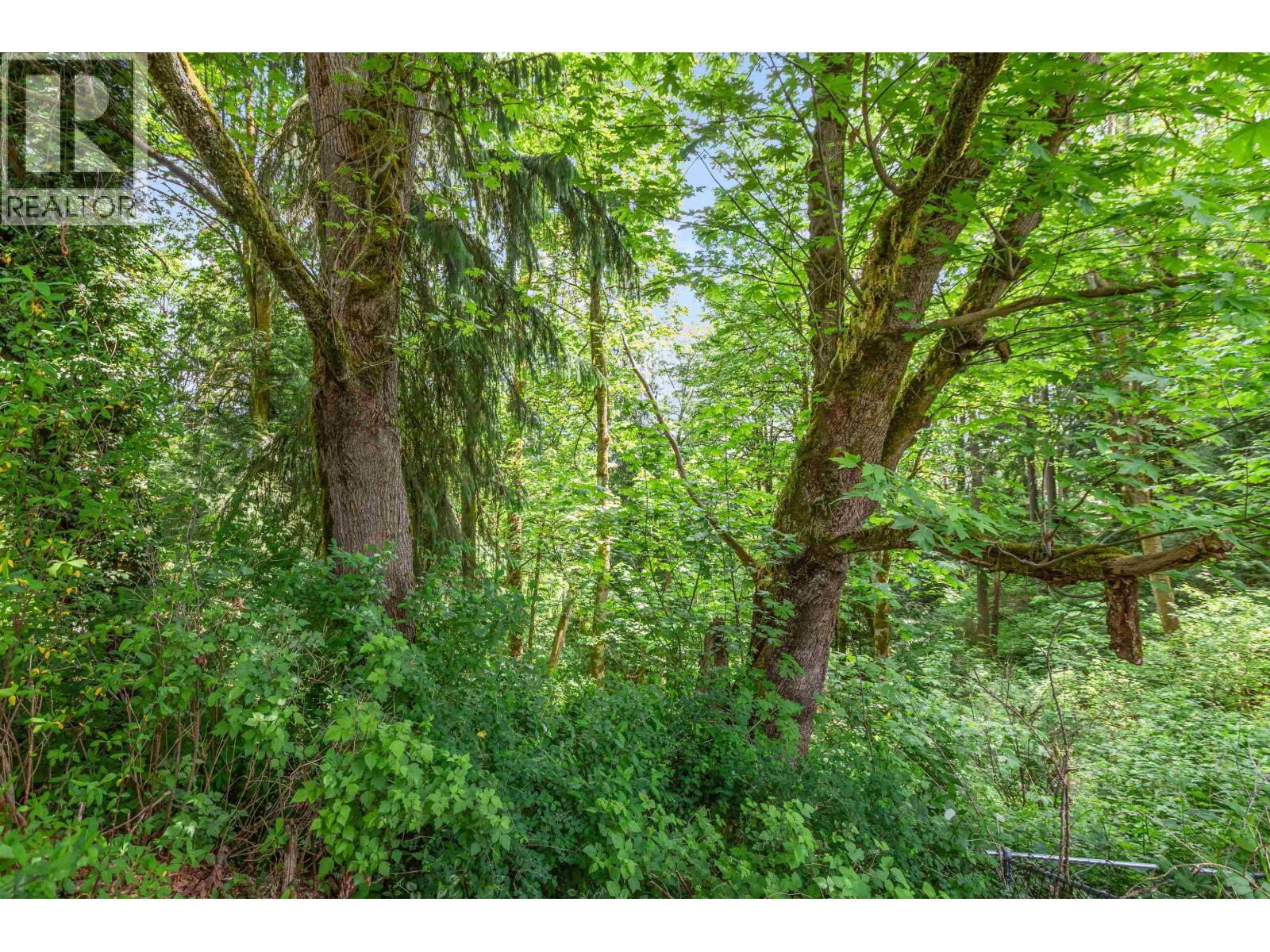 10610 238 Street, Maple Ridge, BC - Outdoor