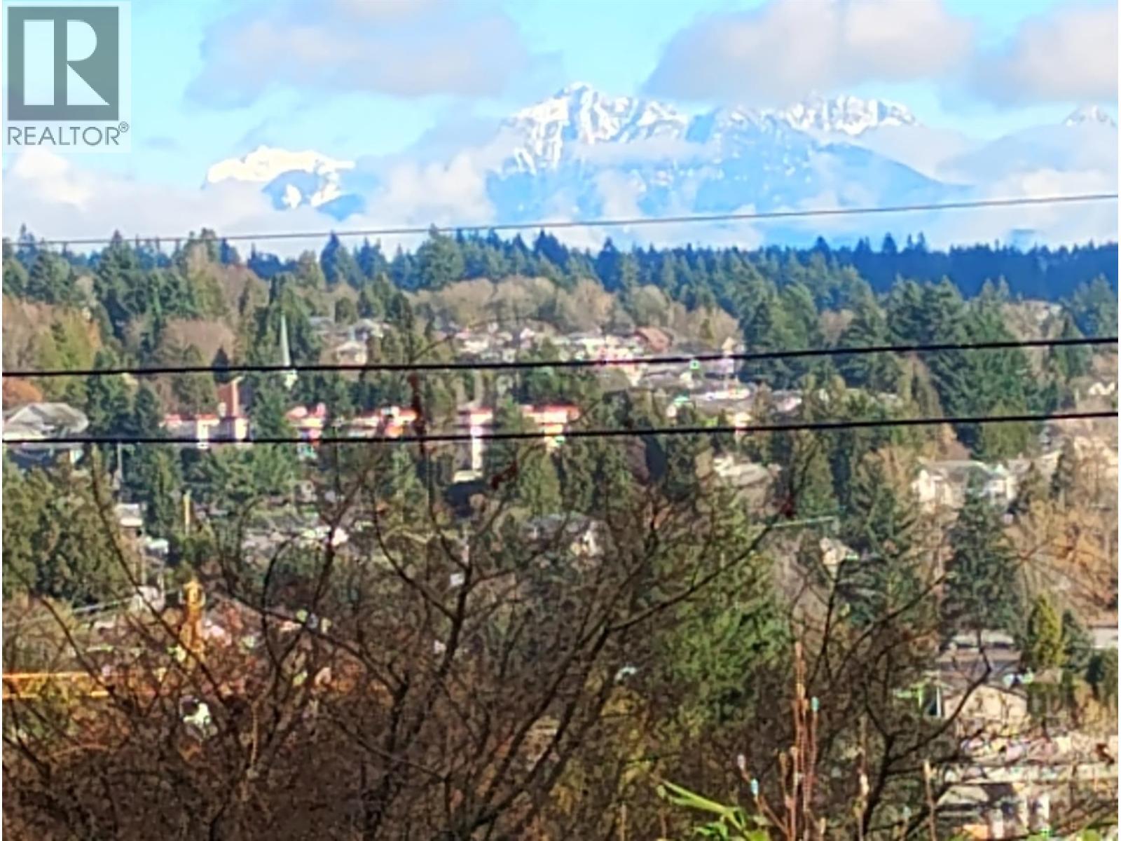 548 Amess Street, New Westminster, BC - Outdoor With View