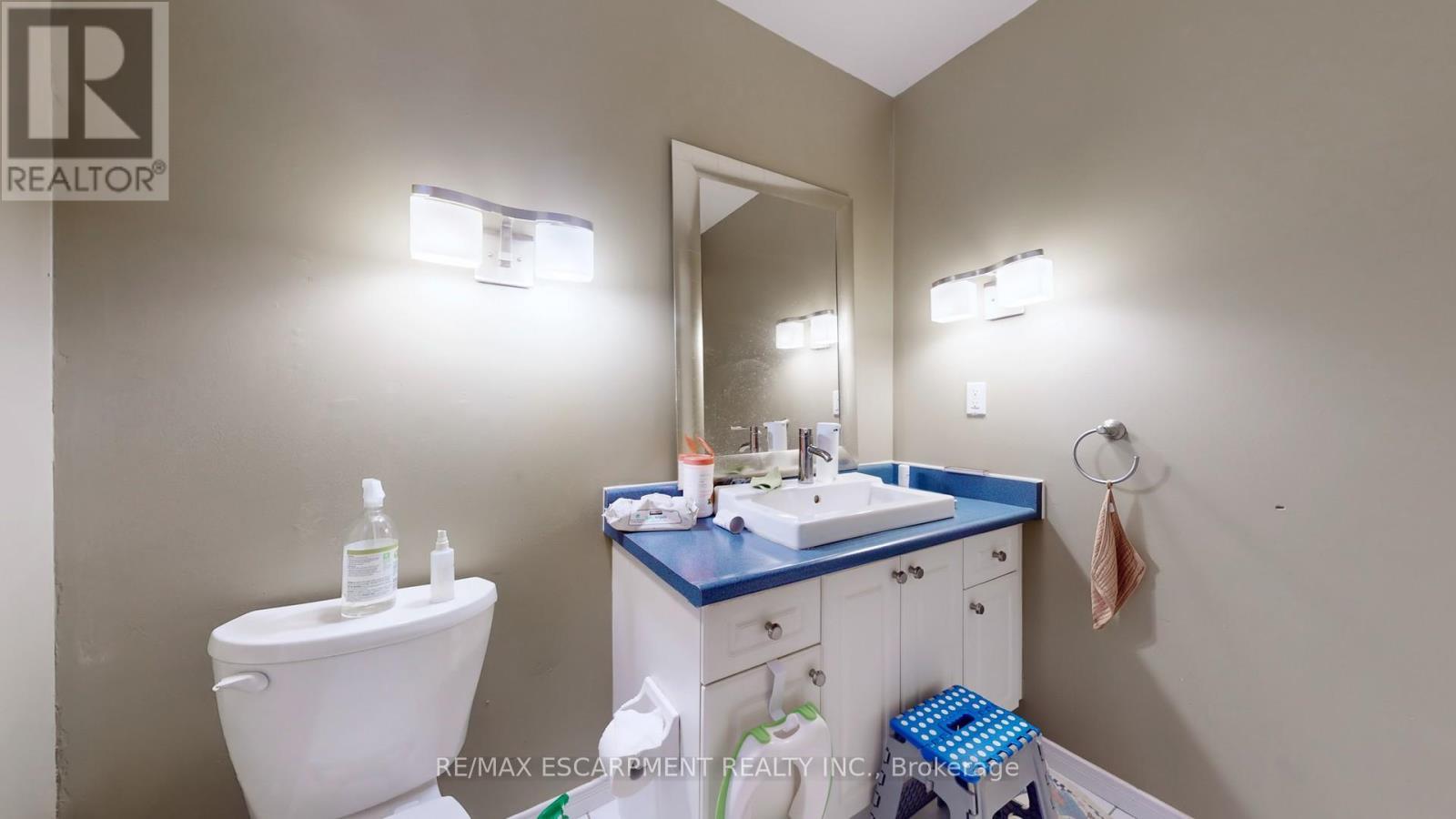 Upper - 219 Kitty Murray Lane, Hamilton, ON - Indoor Photo Showing Bathroom