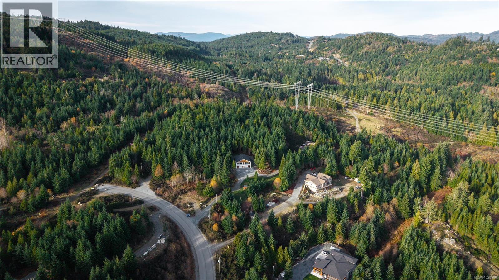 1550 Olympic Dr, Shawnigan Lake, BC - Outdoor With View