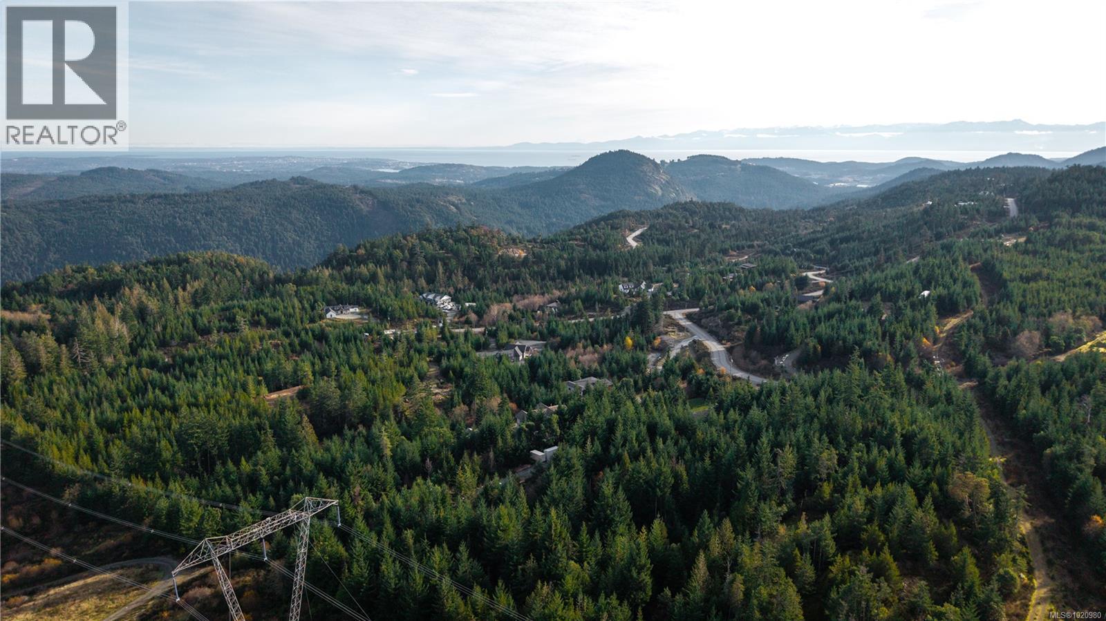 1550 Olympic Dr, Shawnigan Lake, BC - Outdoor With View