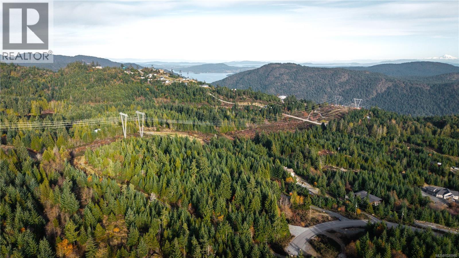 1550 Olympic Dr, Shawnigan Lake, BC - Outdoor With View